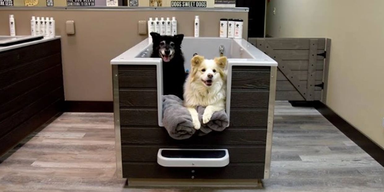 WaG Premier Grooming Salon & Spa